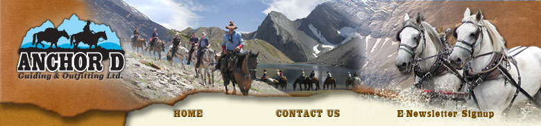 Anchor D Outfitting - Horseback Riding in Alberta